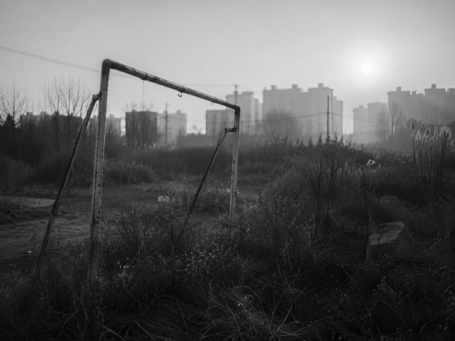 YILEI PHOTO